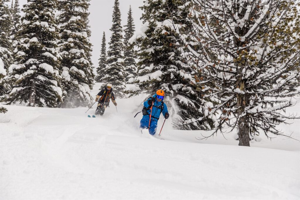 sled accessed skiing
